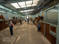 CH290522-97 - Charlie Hills Stable Visit